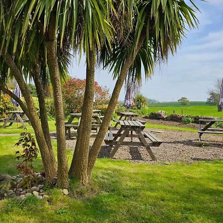 The Pack Horse Inn Chathill Exteriör bild